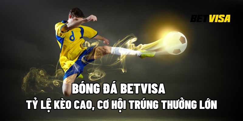 bóng đá Betvisa