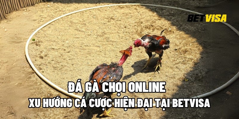Đá gà chọi