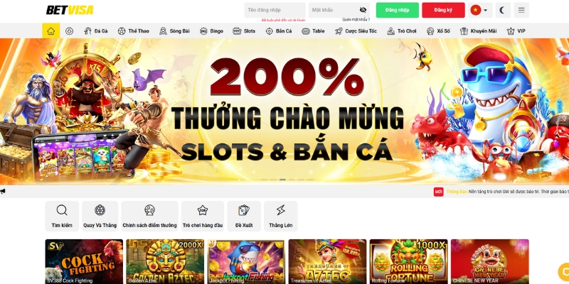 Đại lý Betvisa là gì?