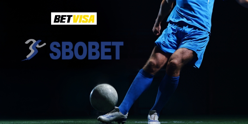 Khám phá sảnh thể thao Sbobet Betvisa