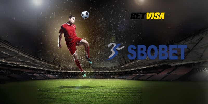 Các hình thức đặt cược phổ biến tại sảnh Sbobet Betvisa